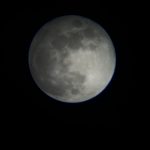IMG_8791
